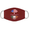 American Grown Irish Roots Face Mask Adult & Kids Mask Ireland FlagFace Masks Anti Microbial Ultra Breathable