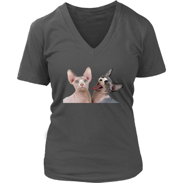 Grumpy Cats T-Shirt - Funny Pets Tshirt - Animal Lover Tee - Womens Plus Size up to 4X