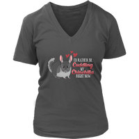 Cuddling My Chinchilla Cute Animal Chinchillas Small Pets V-Neck T-Shirt Womens Plus Size S-4XL