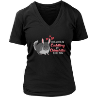 Cuddling My Chinchilla Cute Animal Chinchillas Small Pets V-Neck T-Shirt Womens Plus Size S-4XL